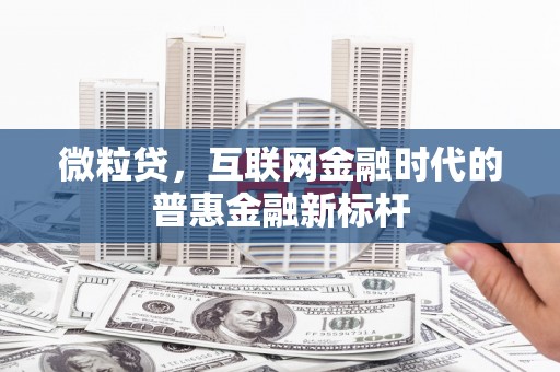 灌阳微粒贷，互联网金融时代的普惠金融新标杆