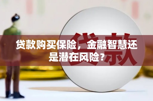 灌阳贷款购买保险，金融智慧还是潜在风险？