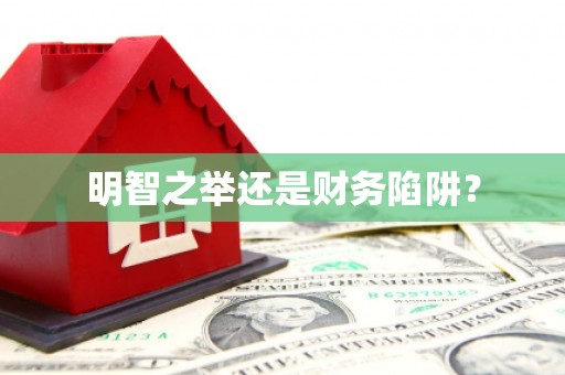 灌阳明智之举还是财务陷阱？