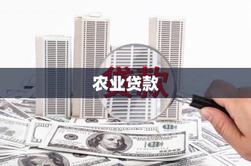 灌阳农业贷款