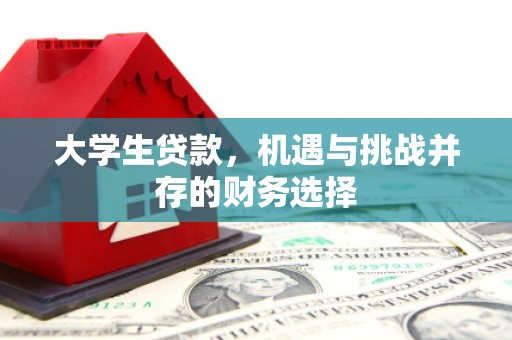 灌阳大学生贷款，机遇与挑战并存的财务选择