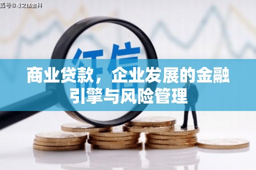灌阳商业贷款，企业发展的金融引擎与风险管理