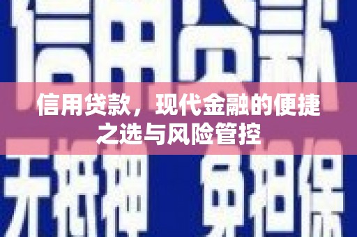 灌阳信用贷款，现代金融的便捷之选与风险管控