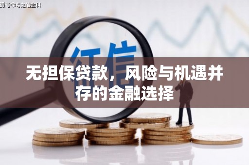 灌阳无担保贷款，风险与机遇并存的金融选择