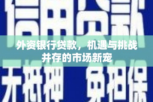 灌阳外资银行贷款，机遇与挑战并存的市场新宠