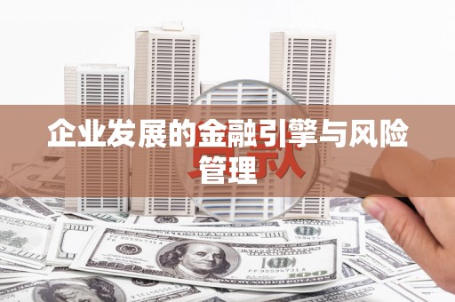 灌阳企业发展的金融引擎与风险管理