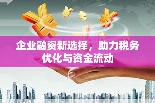 灌阳企业融资新选择，助力税务优化与资金流动