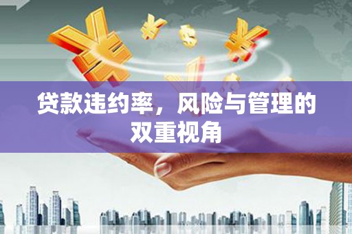 灌阳贷款违约率，风险与管理的双重视角