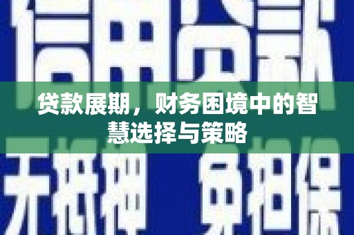 灌阳贷款展期，财务困境中的智慧选择与策略