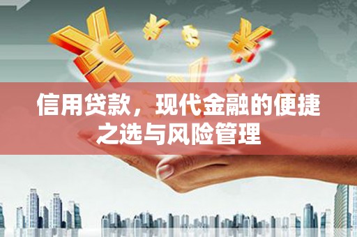 灌阳信用贷款，现代金融的便捷之选与风险管理