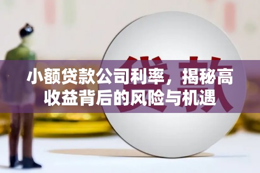 灌阳小额贷款公司利率，揭秘高收益背后的风险与机遇