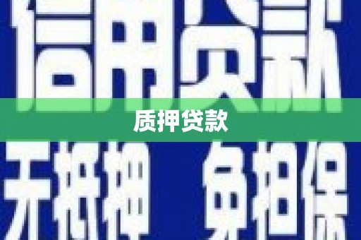 灌阳质押贷款