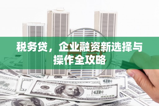 灌阳税务贷，企业融资新选择与操作全攻略
