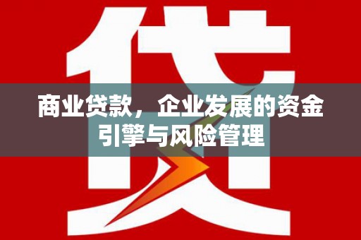 灌阳商业贷款，企业发展的资金引擎与风险管理