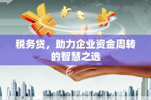 灌阳税务贷，助力企业资金周转的智慧之选