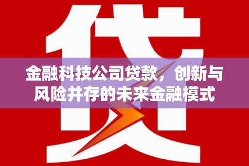 灌阳金融科技公司贷款，创新与风险并存的未来金融模式