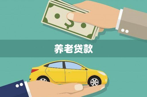 灌阳养老贷款