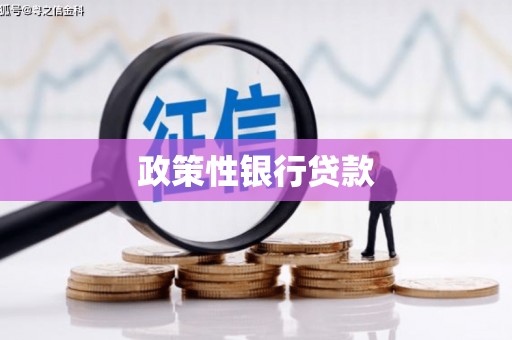 灌阳政策性银行贷款