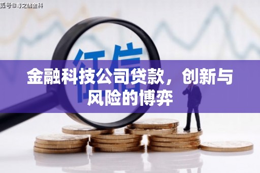 灌阳金融科技公司贷款，创新与风险的博弈