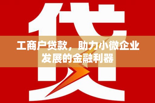灌阳工商户贷款，助力小微企业发展的金融利器