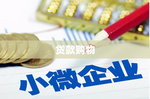 灌阳贷款购物