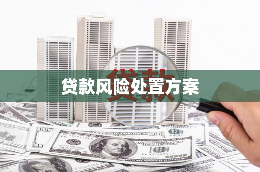 灌阳贷款风险处置方案