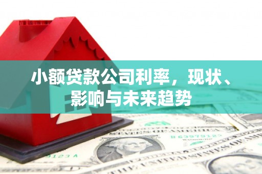 灌阳小额贷款公司利率，现状、影响与未来趋势