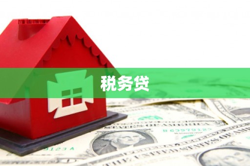 灌阳税务贷