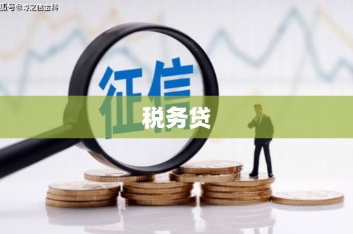 灌阳税务贷