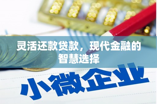 灌阳灵活还款贷款，现代金融的智慧选择
