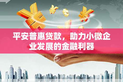 灌阳平安普惠贷款，助力小微企业发展的金融利器