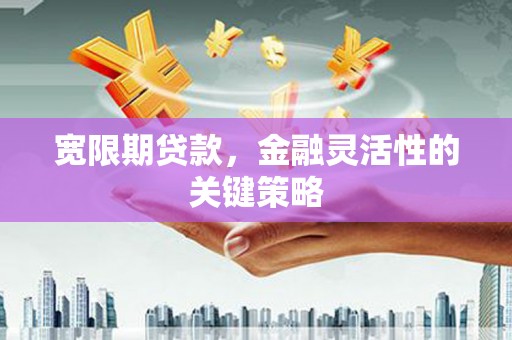 灌阳宽限期贷款，金融灵活性的关键策略