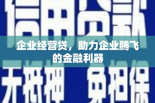 灌阳企业经营贷，助力企业腾飞的金融利器