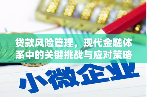 灌阳贷款风险管理，现代金融体系中的关键挑战与应对策略