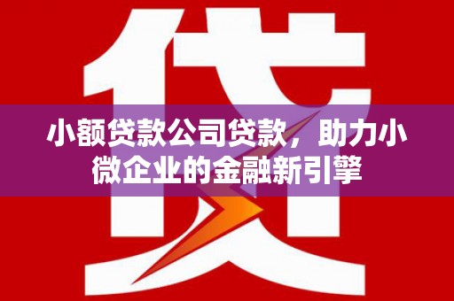 灌阳小额贷款公司贷款，助力小微企业的金融新引擎