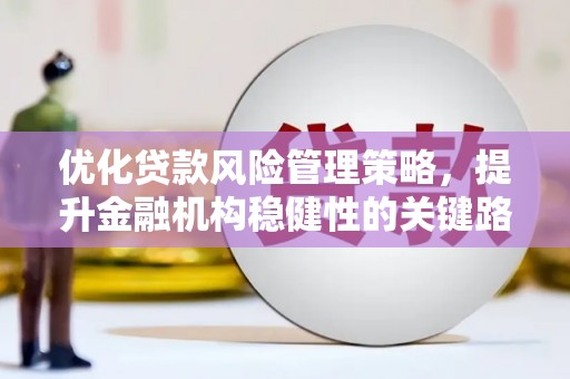 灌阳优化贷款风险管理策略，提升金融机构稳健性的关键路径