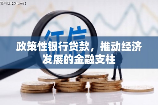 灌阳政策性银行贷款，推动经济发展的金融支柱