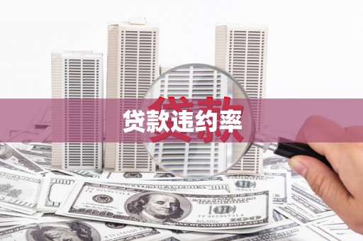 灌阳贷款违约率