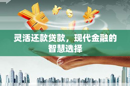 灌阳灵活还款贷款，现代金融的智慧选择