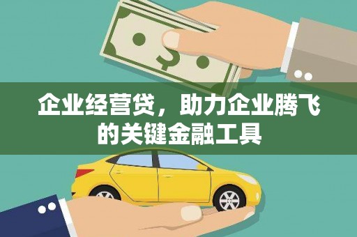 灌阳企业经营贷，助力企业腾飞的关键金融工具