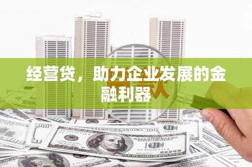 灌阳经营贷，助力企业发展的金融利器