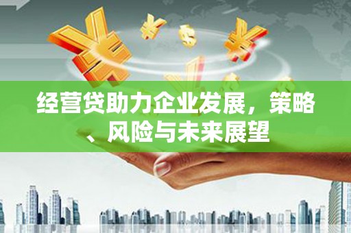 灌阳经营贷助力企业发展，策略、风险与未来展望