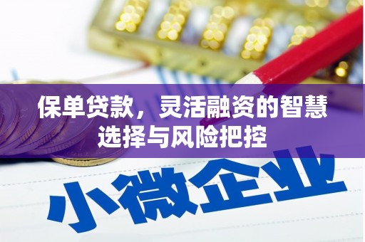 灌阳保单贷款，灵活融资的智慧选择与风险把控