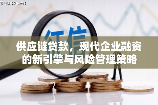 灌阳供应链贷款，现代企业融资的新引擎与风险管理策略