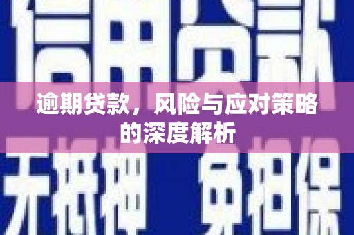 灌阳逾期贷款，风险与应对策略的深度解析