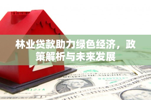 灌阳林业贷款助力绿色经济，政策解析与未来发展
