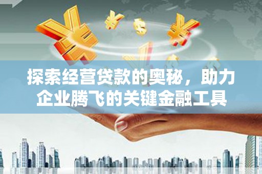 灌阳探索经营贷款的奥秘，助力企业腾飞的关键金融工具