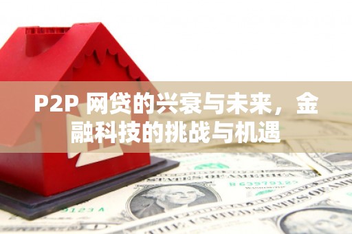 灌阳P2P 网贷的兴衰与未来，金融科技的挑战与机遇