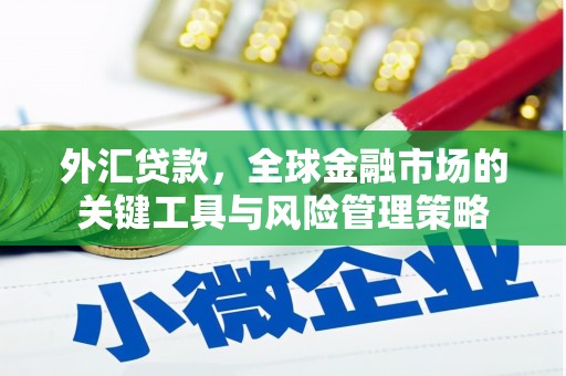 灌阳外汇贷款，全球金融市场的关键工具与风险管理策略