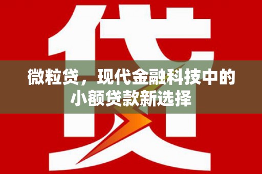 灌阳微粒贷，现代金融科技中的小额贷款新选择